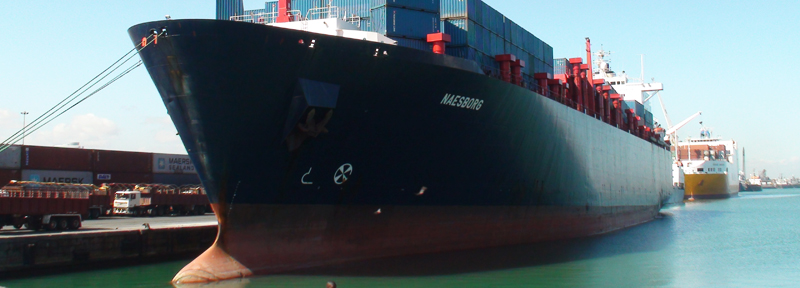 A ship docked at the port